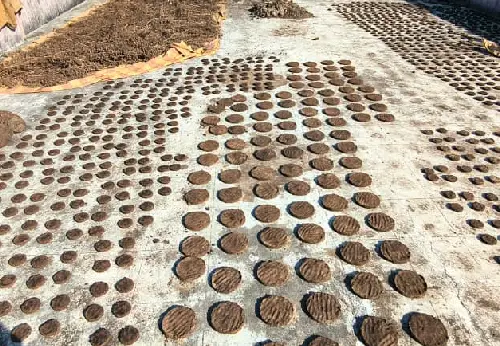 bulk-cow-dung-cake-export